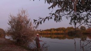 Удочка с Алиэкспресс. Обзор жёсткого махового удилища 4.8 метра 19 класса.