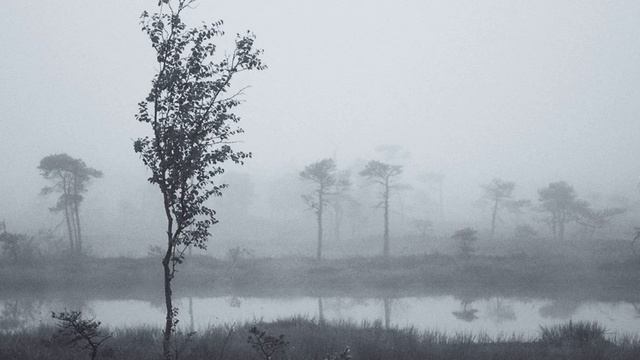 Jaymes Young — Moondust (Instrumental) смотреть онлайн