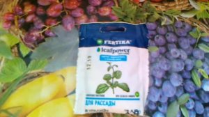 Фертика Leaf power для рассады