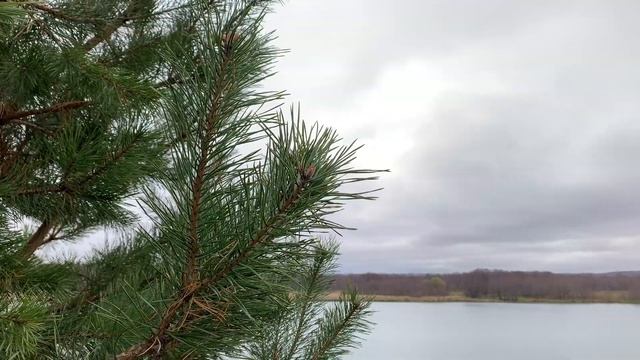 Озеро Святое, Дзержинск. смотреть онлайн
