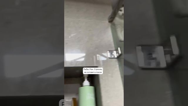 Как знакомятся знаки зодиака