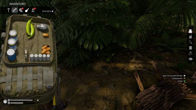 BIRD HUNTING IN THE JUNGLE (Green Hell)(18) смотреть онлайн