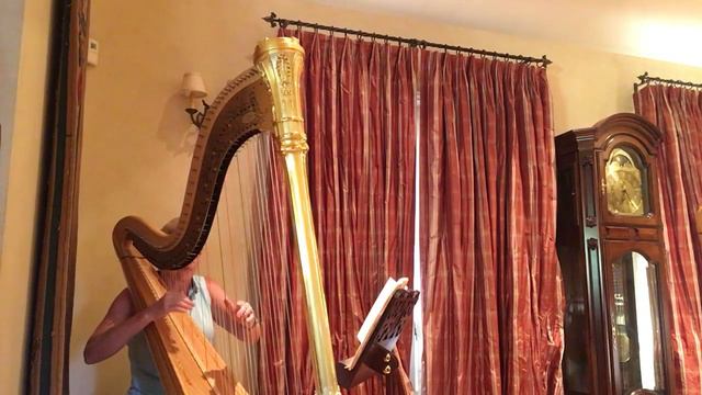 Free Me (Sia) - Harp Cover смотреть онлайн