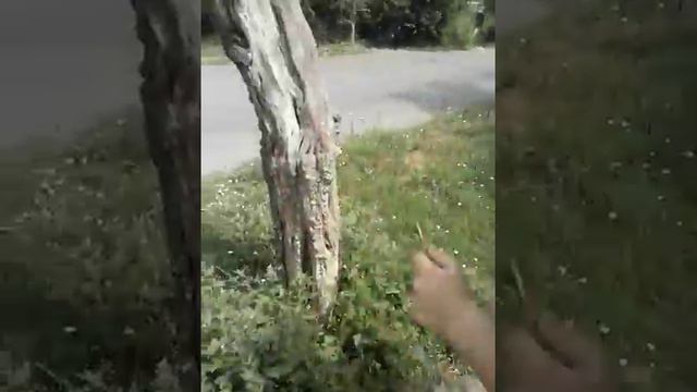 Виктория Тараторкина 1 смотреть онлайн