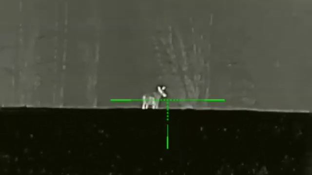 Irey Saim Scp 19w снимем лося