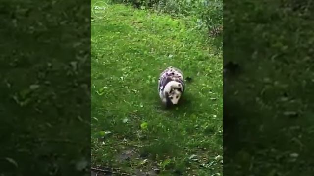 Вот что значит любовь!!! смотреть онлайн