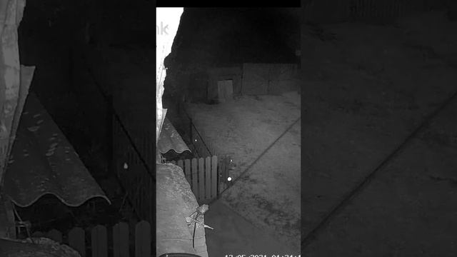 камера засняла нечто