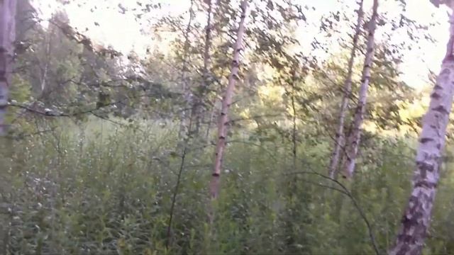 Заброшенная деревня Удивительные находки смотреть онлайн