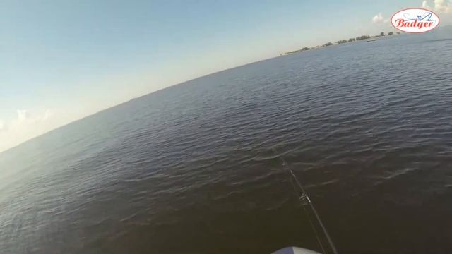 Поводковая оснастка и Mystic Long Tail Grub