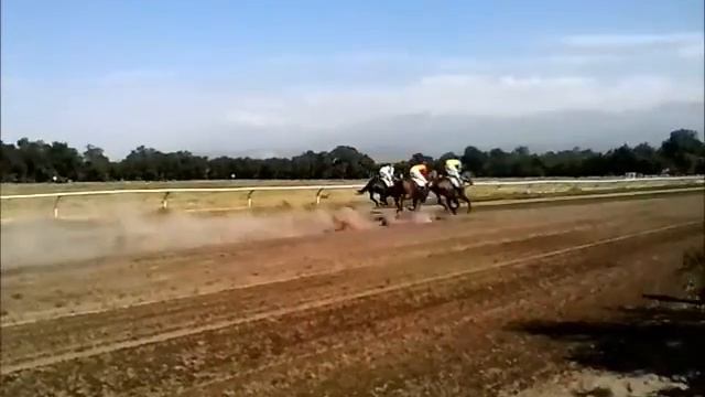 Мисс Казахстан(Жибек) 2014 смотреть онлайн