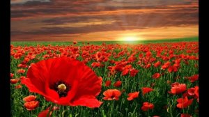 Qizģaldoq Alibek Amanulloh  | Алибек Амануллох кизгалдок.