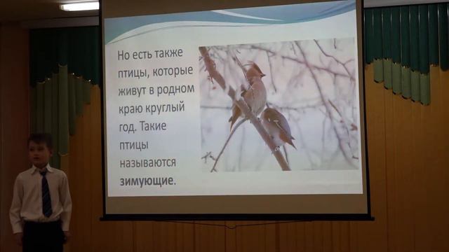 Зимующие и перелётные птицы смотреть онлайн