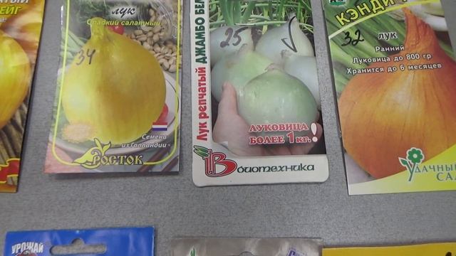 Лук репчатый, семенами , обзор и краткая характеристика сортов. смотреть онлайн