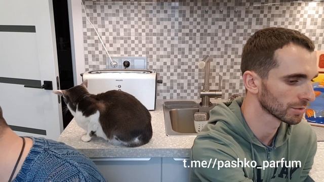 АРОМАТЫ ZARA: слепые затесты! Zara Exclusive Oud, Ambre Noble, Zara Wood Noir // feat. G&S смотреть онлайн