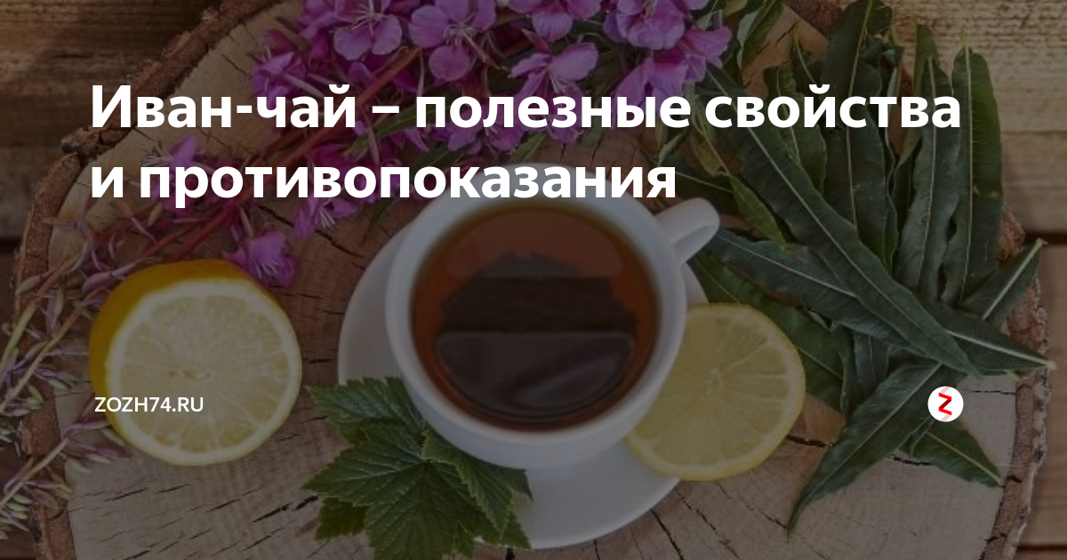 Иван чай — польза и вред РАЗВЕИВАЕМ МИФЫ. смотреть онлайн