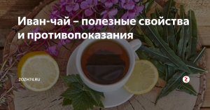 Иван чай — польза и вред РАЗВЕИВАЕМ МИФЫ.