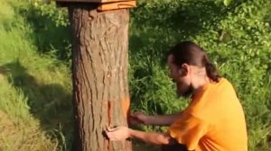 Улей колода