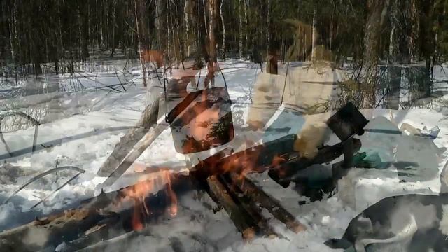 С собачкой в зимний лес. ПВД смотреть онлайн