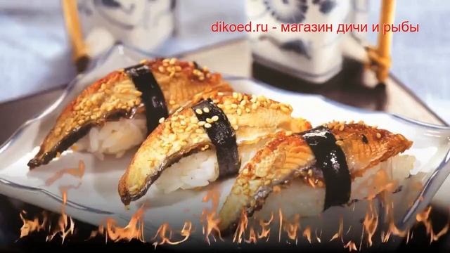 Путешествия Вокруг Света