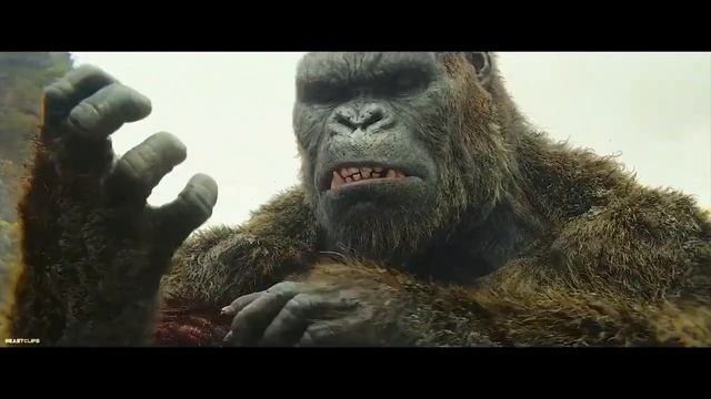 Kong против гигантского кальмара - сцена боя - Kong- череп смотреть онлайн