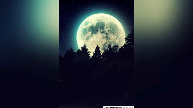 Л.БЕТХОВЕН. ЛУННАЯ СОНАТА в ОБРАБОТКЕ для ДЕТЕЙ. L. Beethoven. Moonlight Sonata for Children смотреть онлайн