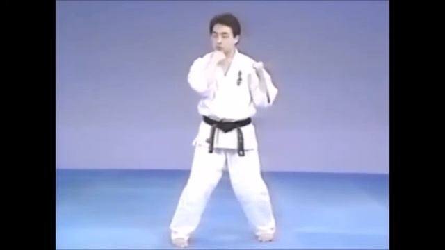 Кёкусинкай Карате/ Удар Сейкен аго ути/Kyokushin Karate/Seiken Ago Uchi смотреть онлайн
