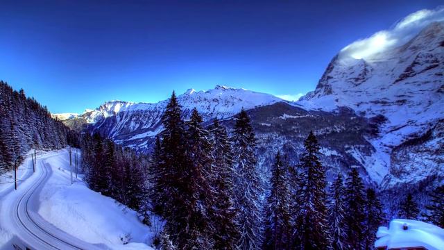 Самые Интересные Факты #1 | Most Interesting Facts #1