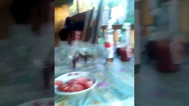 Дача шашлыки))) смотреть онлайн