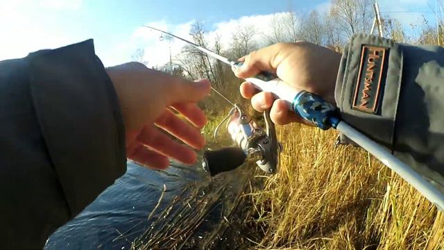 Ловля окуня спиннингом осенью на реке. Щука и окунь на микроджиг. смотреть онлайн