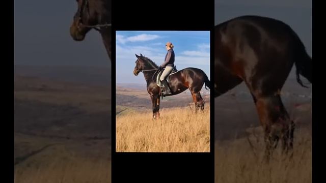 Топ 5 очень интересных фактов о Казахстане|#shorts#kazakhstan смотреть онлайн