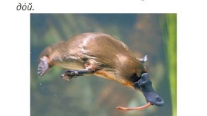 Русский язык. 2 класс. В.П. Канакина. 2 часть, стр. 24 упр. 38