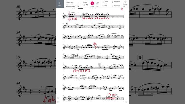 Feeling Good Michael Buble Alto Saxophone Backing Track HSC 2022 смотреть онлайн