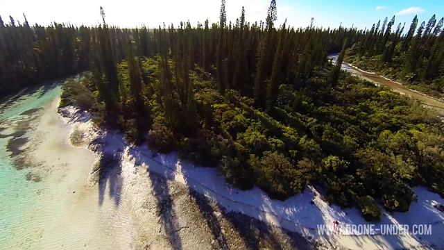 New Caledonia смотреть онлайн