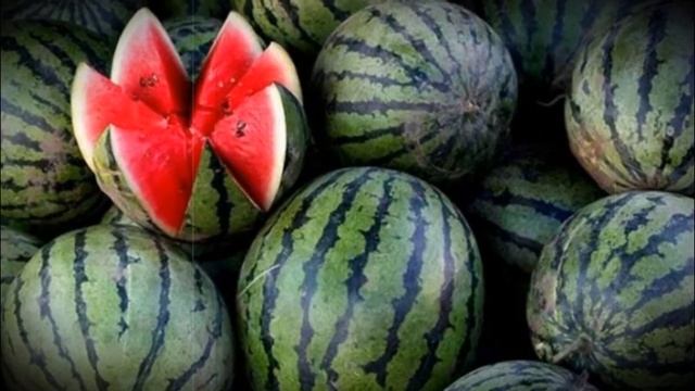 Что же такое арбуз Это ягода или фрукт смотреть онлайн