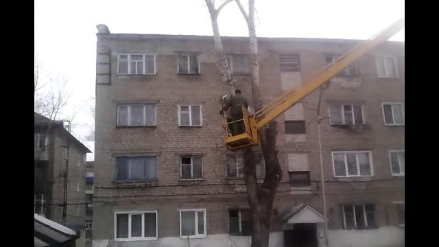 Восстанавливаем двор \ Кронирование деревьев смотреть онлайн