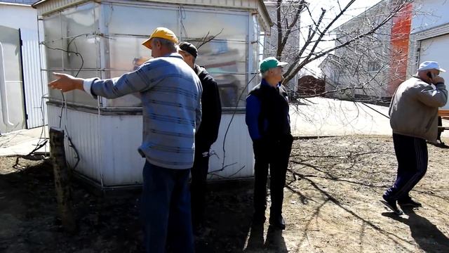 Безкружные голуби. Общаемся. смотреть онлайн
