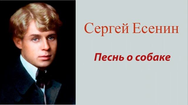 Сергей Есенин - Песнь о собаке смотреть онлайн