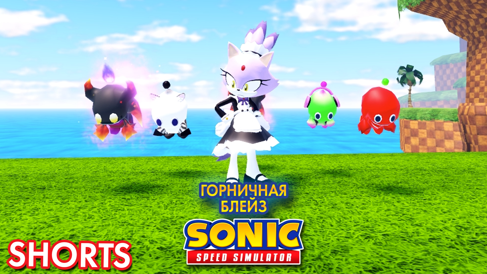 ГОРНИЧНАЯ БЛЕЙЗ | Sonic Speed Simulator ROBLOX #sonic #соник #roblox #sonicspeedsimulator #blaze смотреть онлайн