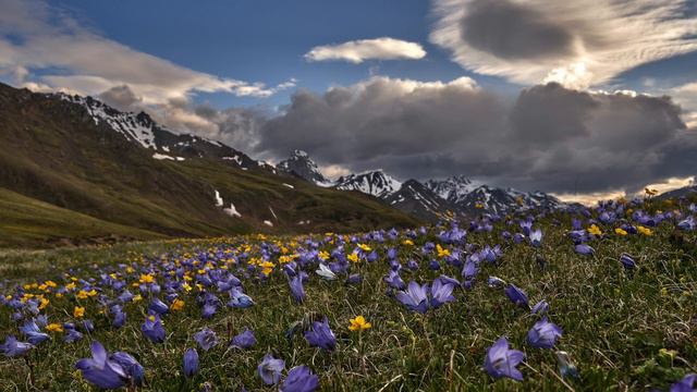 Day 21 - Wohlfahrt etude Op. 45, No. 7 (very slowly)  - 100 Days of Violin Practice