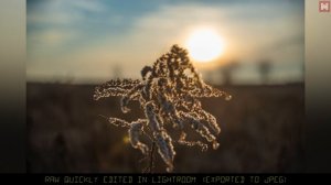 Nikon D600/D610 – Review in 2020!