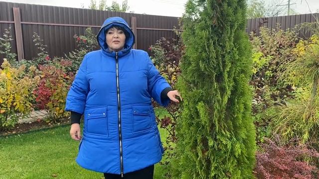 Подготавливаем хвойные в к зиме! смотреть онлайн