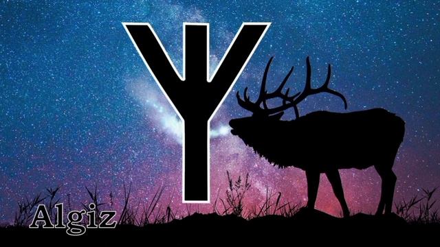 РУНА АЛЬГИЗ. КРАТКОЕ ЗНАЧЕНИЕ РУНЫ АЛЬГИЗ. АЛЬГИЗ. РУНЫ.