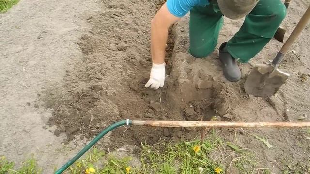 Самый простой способ посадить картошку! смотреть онлайн