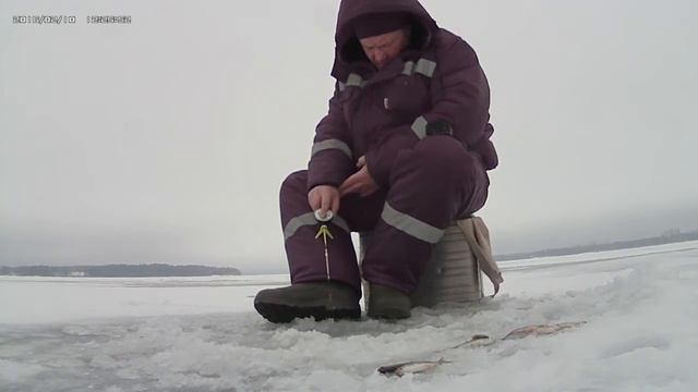 ЗИМНЯЯ РЫБАЛКА НА ОЗЕРЕ СЕНЕЖ смотреть онлайн