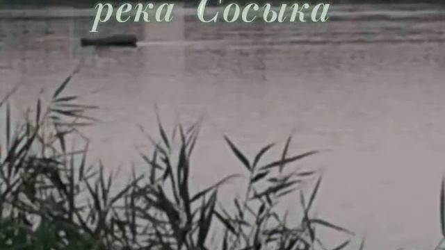 река Сосыка в ст. Павловской смотреть онлайн