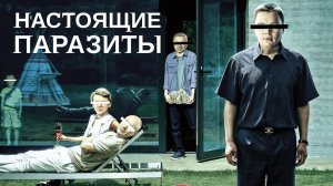 Кто отравляет нам жизнь? Отвечает Рафаэль Абдулов // Fundamentum #19