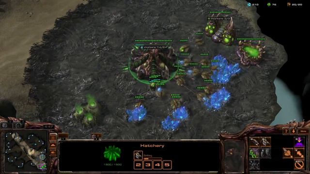 Back to the Basics - Episode 9 - Zerg Mechanics смотреть онлайн