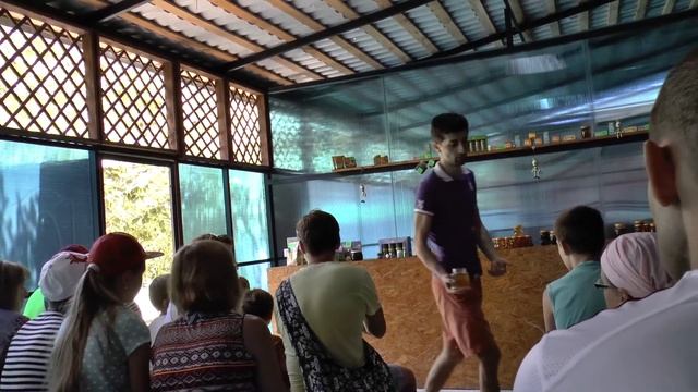 Дегустация вина, мёда и сыра. смотреть онлайн