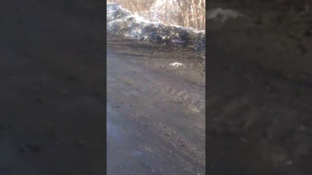 Куда идёт талая вода в осинниках смотреть онлайн