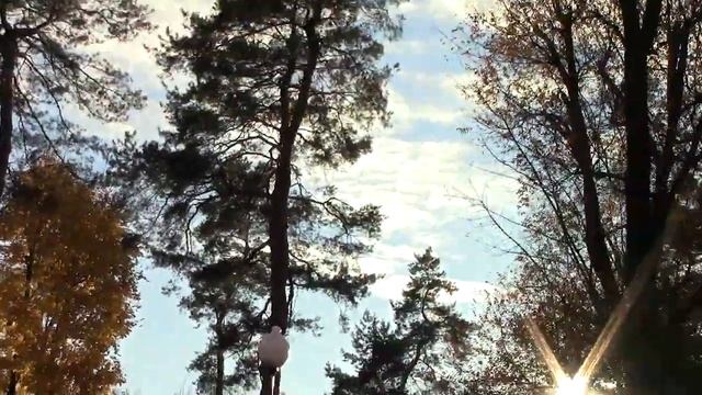 Нэтэниэль в парке 2 Ноября 2023 Харьков осенью смотреть онлайн